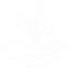 nurturing growth