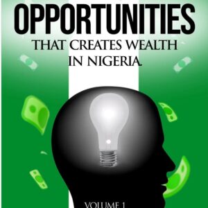 ideas and business opportunities that creates wealth in nigeria